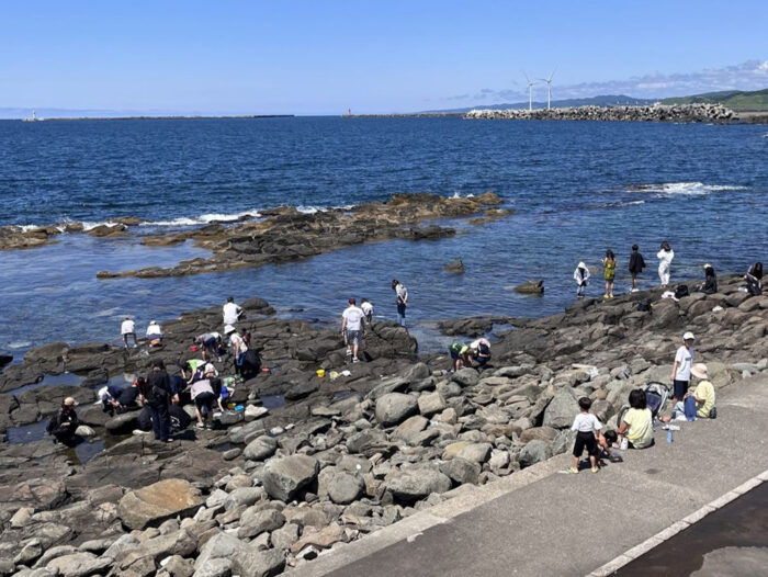 黄金岬海浜公園 磯ガニ釣り