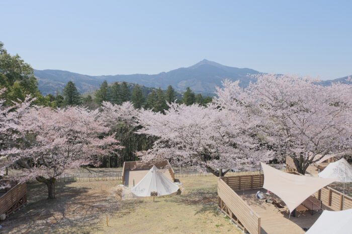 いばらきフラワーパーク _キャンプ＆リゾート 花やさと山グランピングエリア