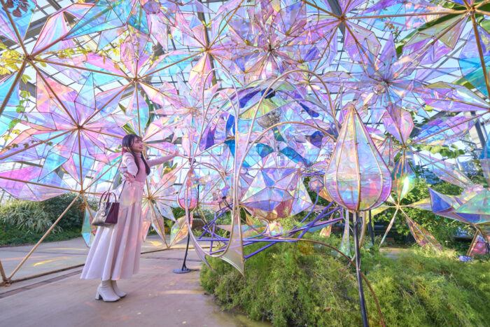 京成バラ園(5)常設_温室内_光とバラのインスタレーション